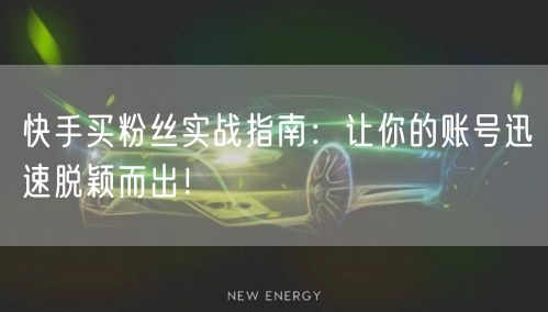 快手买粉丝实战指南：让你的账号迅速脱颖而出！