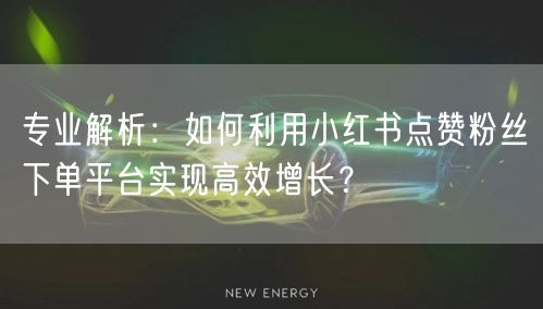 专业解析：如何利用小红书点赞粉丝下单平台实现高效增长？