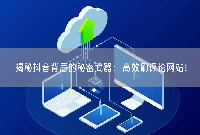 揭秘抖音背后的秘密武器:高效刷评论网站!