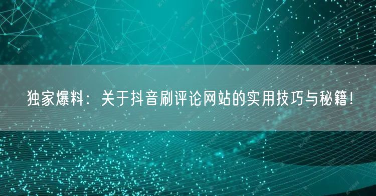 独家爆料:关于抖音刷评论网站的实用技巧与秘籍!