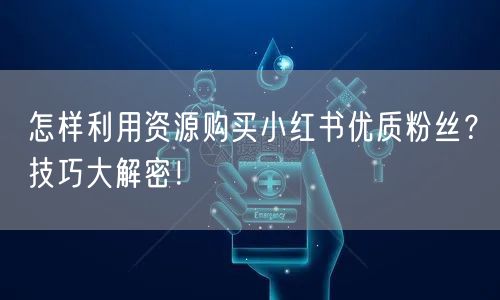 怎样利用资源购买小红书优质粉丝?技巧大解密!